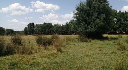 Agricultural land in Vale da Madre of 25,874 sq m