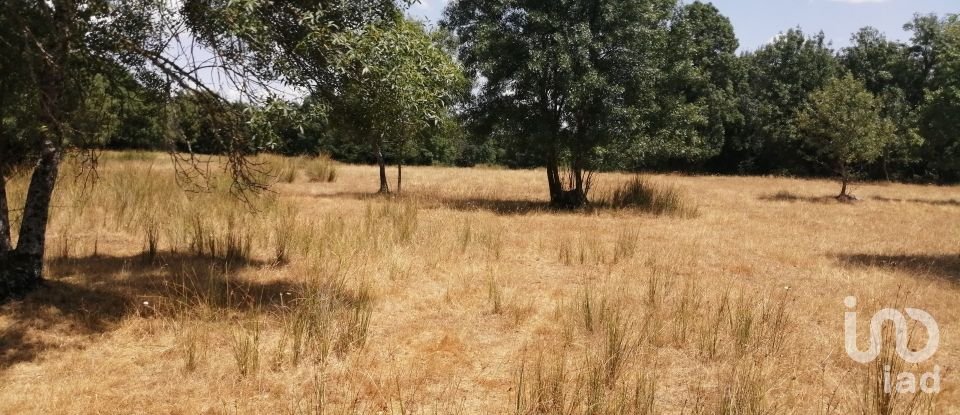 Agricultural land in Vale da Madre of 25,874 m²