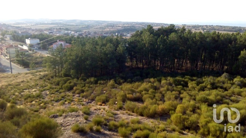 Terrain à bâtir à Mogadouro, Valverde, Vale de Porco e Vilar de Rei de 8 874 m²
