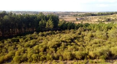Building land in Mogadouro, Valverde, Vale de Porco e Vilar de Rei of 8,874 m²