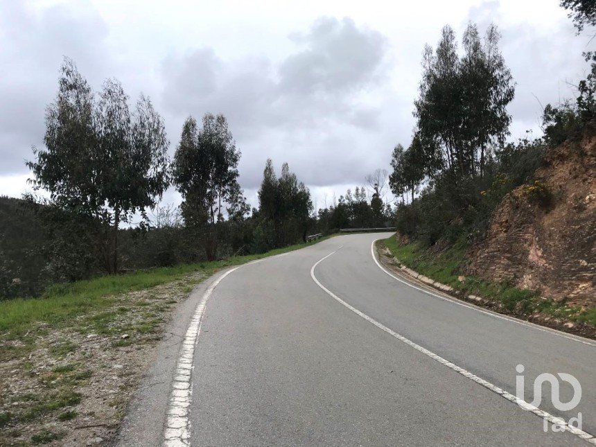 Terreno em Monchique de 54 040 m²