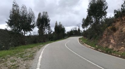 Terrain à Monchique de 54 040 m²