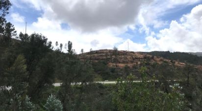 Terrain à Monchique de 54 040 m²