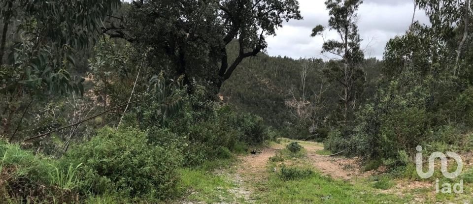 Terreno em Monchique de 54 040 m²