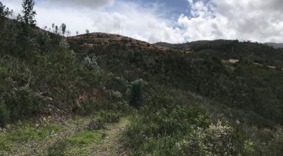 Terrain à Monchique de 54 040 m²