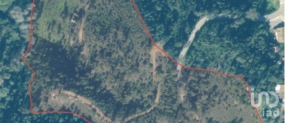 Terreno em Monchique de 54 040 m²