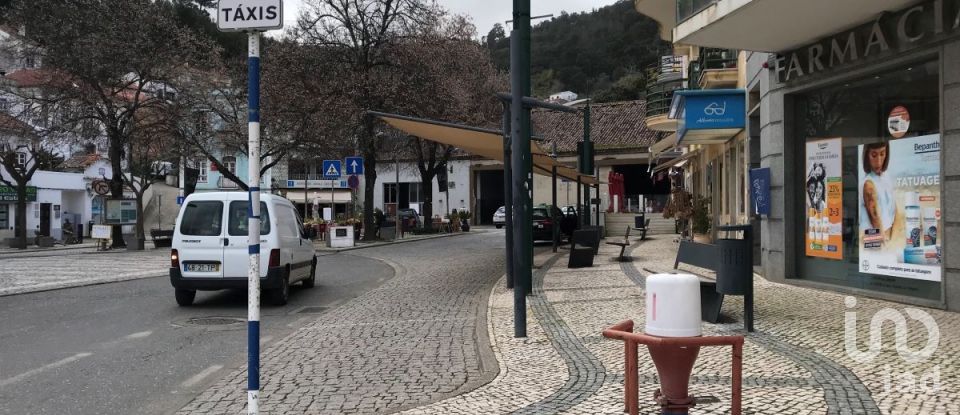 Terreno em Monchique de 54 040 m²