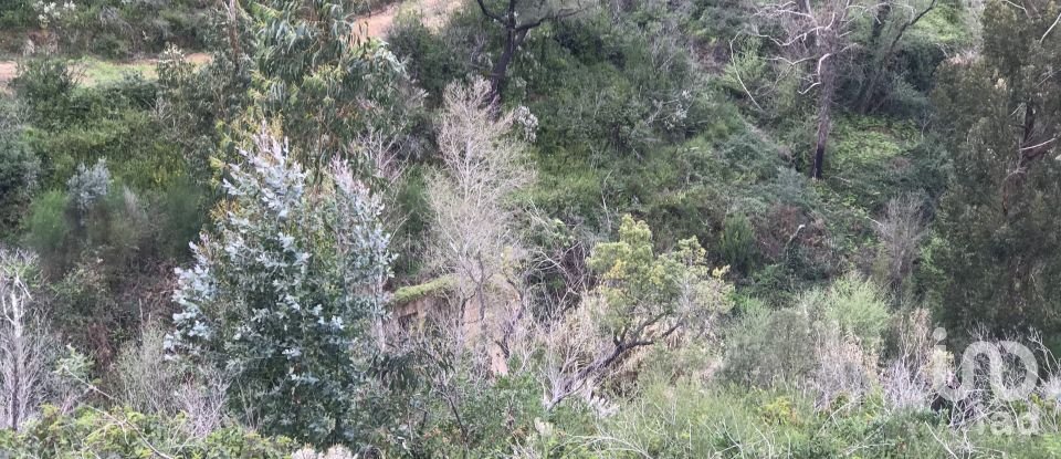 Terreno em Monchique de 54 040 m²