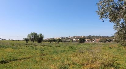 Terrain à Algoz e Tunes de 2 760 m²
