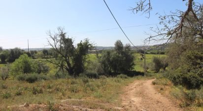 Terreno em Algoz e Tunes de 2 760 m²