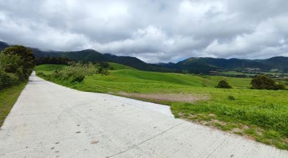 Terrain agricole à Povoação de 13 930 m²