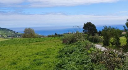 Terrain agricole à Povoação de 13 930 m²