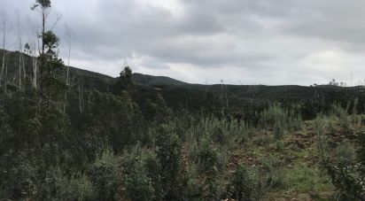 Terrain à Alferce de 76 240 m²