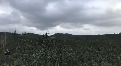 Terrain à Alferce de 76 240 m²