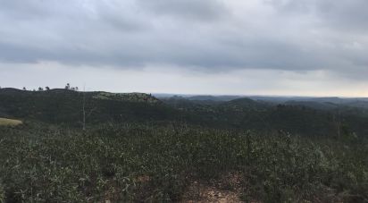 Terrain à Alferce de 76 240 m²