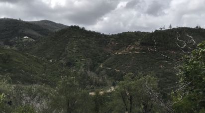 Terrain à Alferce de 76 240 m²