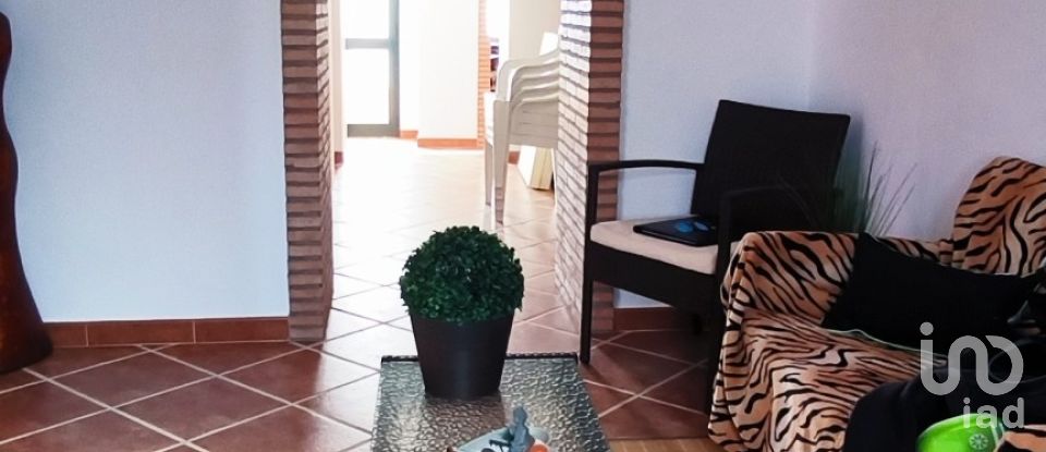 Moradia T3 em Amareleja de 103 m²