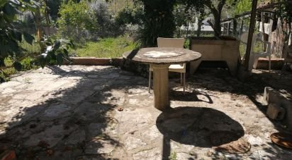 Gîte T3 à Ansião de 169 m²