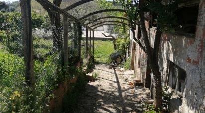 Gîte T3 à Ansião de 169 m²