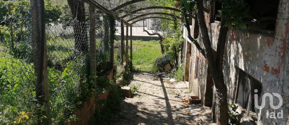 Gîte T3 à Ansião de 169 m²