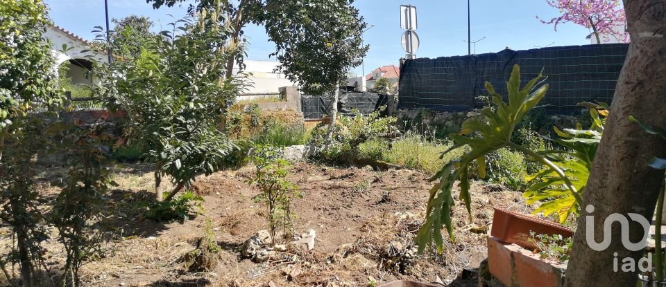 Gîte T3 à Ansião de 169 m²