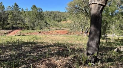 Terrain à Querença, Tôr e Benafim de 1 580 m²