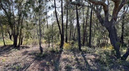 Terrain à Querença, Tôr e Benafim de 1 580 m²