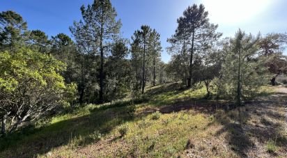 Terrain à Querença, Tôr e Benafim de 1 580 m²