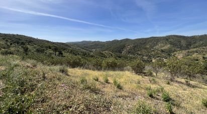 Terrain à Alte de 21 360 m²