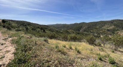 Terrain à Alte de 21 360 m²