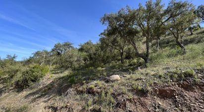 Land in Alte of 21,360 m²