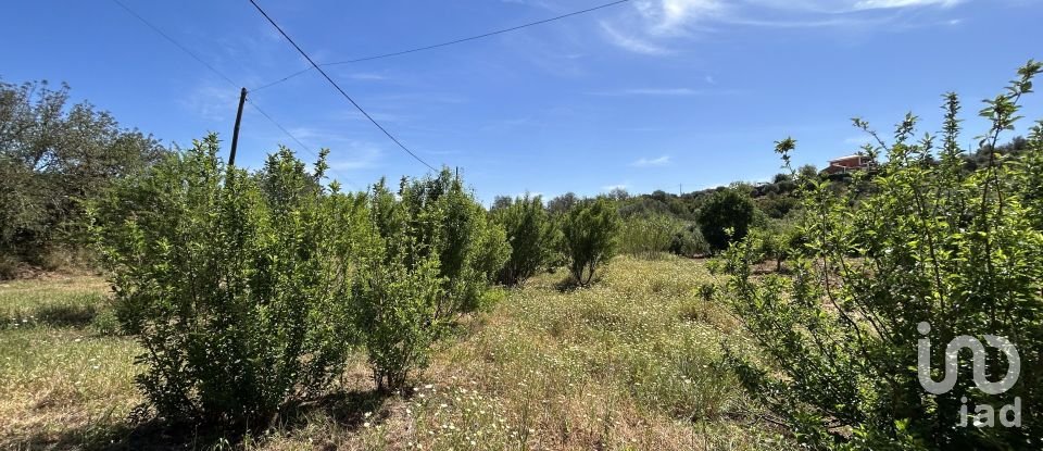 Moradia T4 em Luz de Tavira e Santo Estêvão de 243 m²