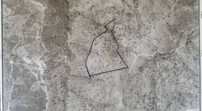 Terrain à bâtir à Salir de 31 312 m²