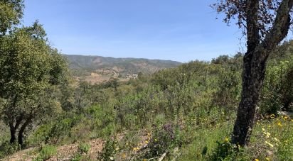 Terrain à Querença, Tôr e Benafim de 9 960 m²