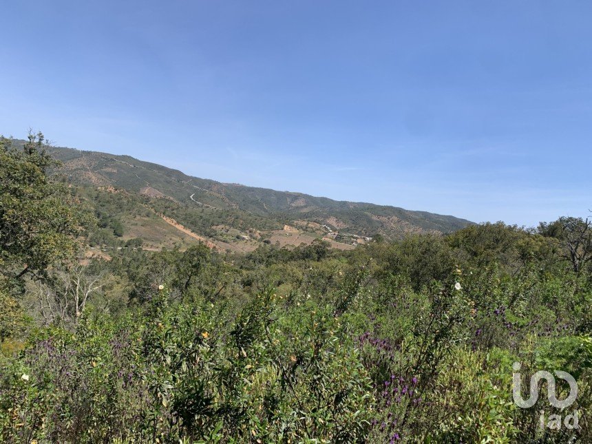 Land in Querença, Tôr e Benafim of 9,960 m²