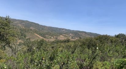 Terrain à Querença, Tôr e Benafim de 9 960 m²