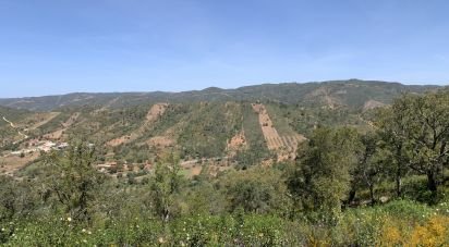 Terrain à Querença, Tôr e Benafim de 9 960 m²