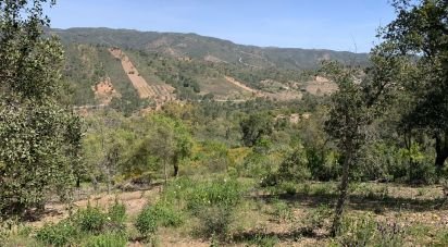 Terrain à Querença, Tôr e Benafim de 9 960 m²