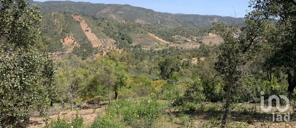 Land in Querença, Tôr e Benafim of 9,960 m²