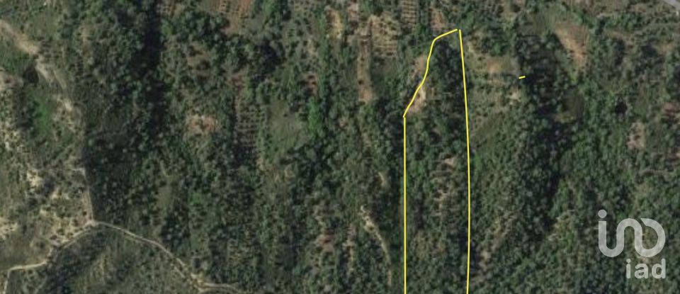 Land in Querença, Tôr e Benafim of 9,960 m²