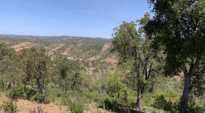 Terrain à Querença, Tôr e Benafim de 9 960 m²