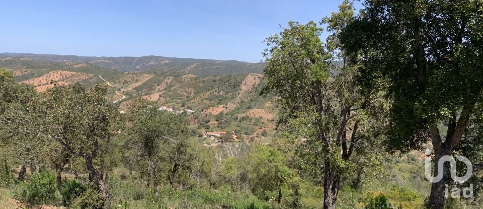 Land in Querença, Tôr e Benafim of 9,960 m²