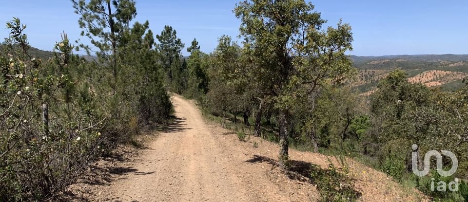 Land in Querença, Tôr e Benafim of 9,960 m²