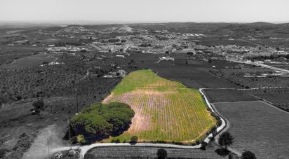 Terreno Agrícola em Borba (Matriz) de 42 400 m²