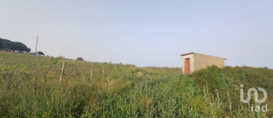 Terrain agricole à Borba (Matriz) de 42 400 m²