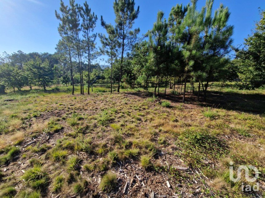 Terrain agricole à Torre E Vila Mou de 4 878 m²