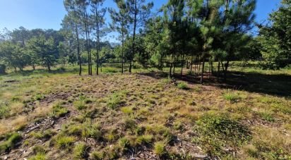 Terrain agricole à Torre E Vila Mou de 4 878 m²