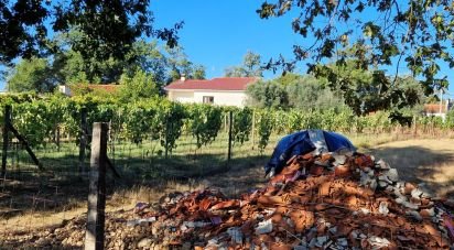 Terrain agricole à Torre E Vila Mou de 4 878 m²