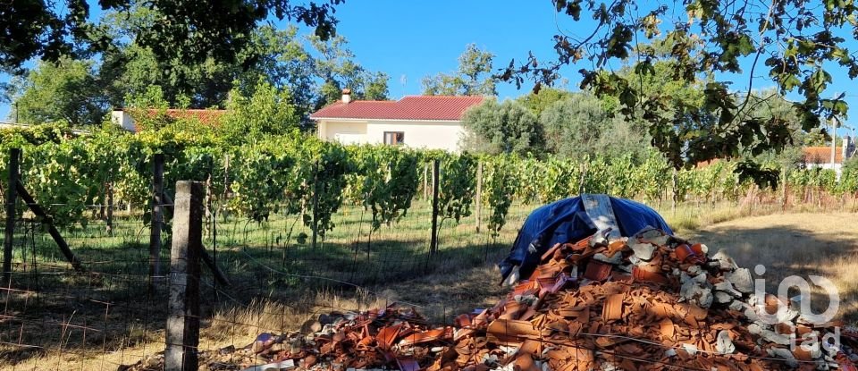 Terrain agricole à Torre E Vila Mou de 4 878 m²