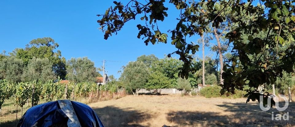 Terrain agricole à Torre E Vila Mou de 4 878 m²